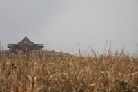 IMG_1267.JPG